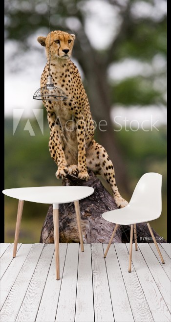 Bild på Cheetah on the tree